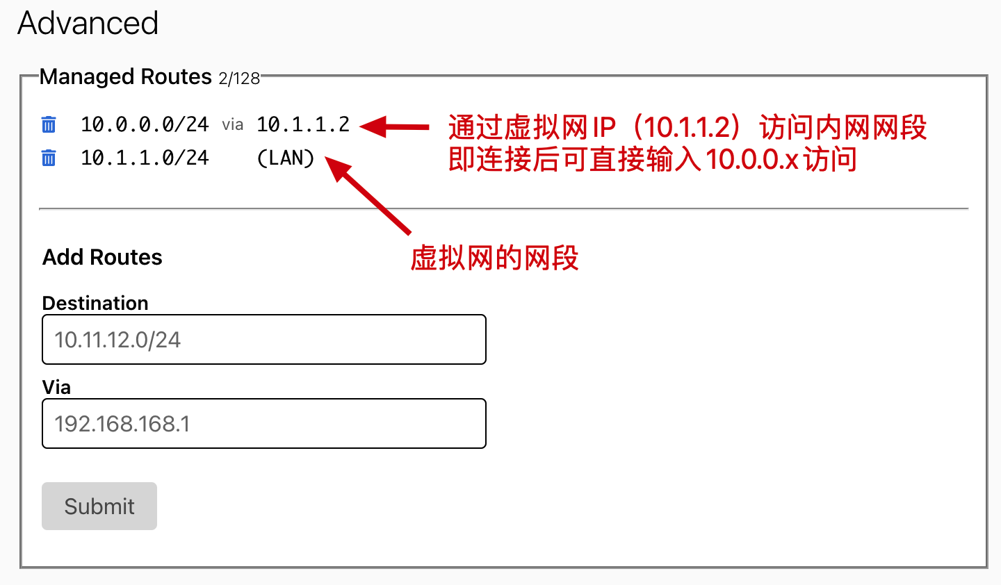 ZeroTier Website Network Advanced