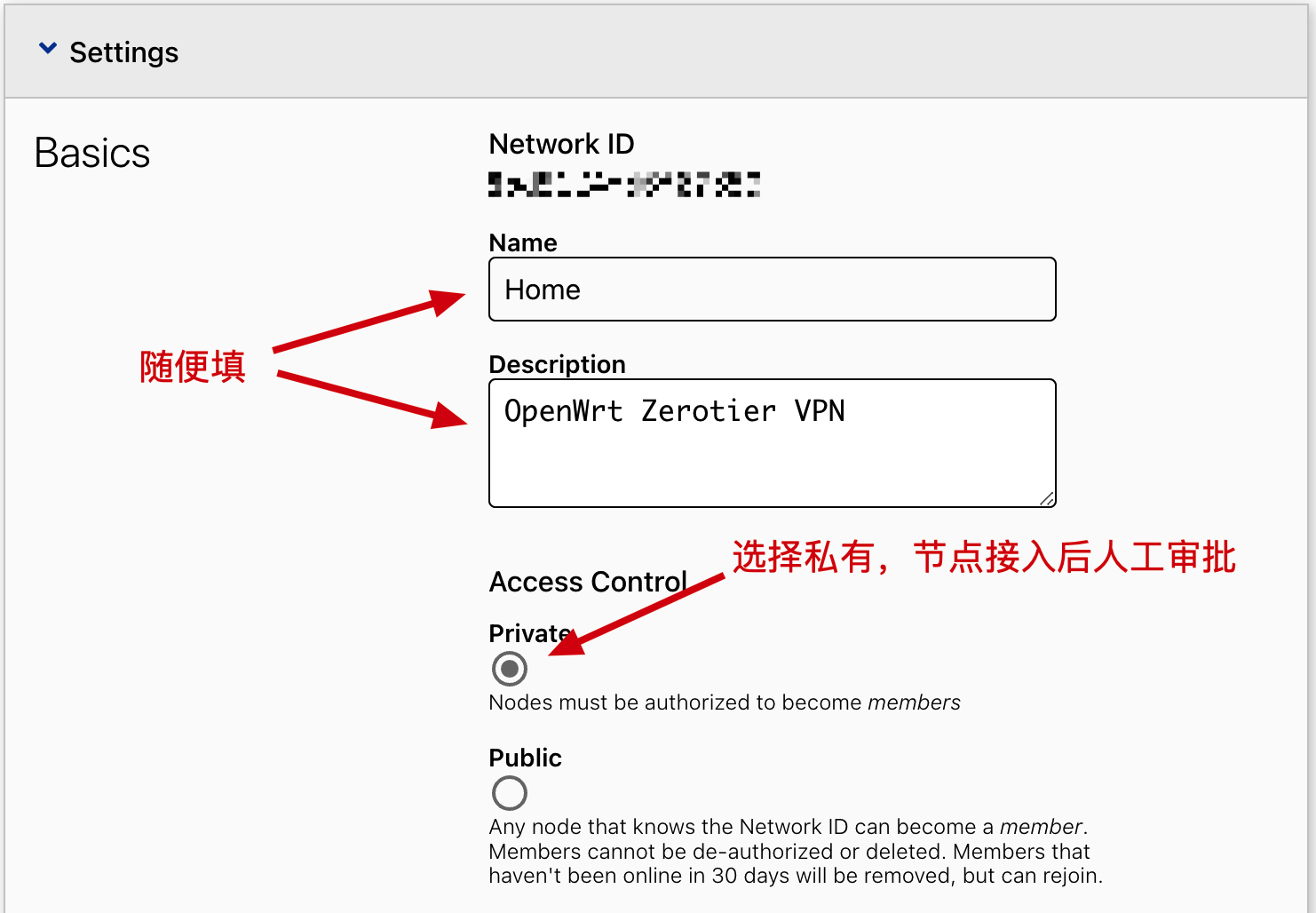 ZeroTier Website Network Basics